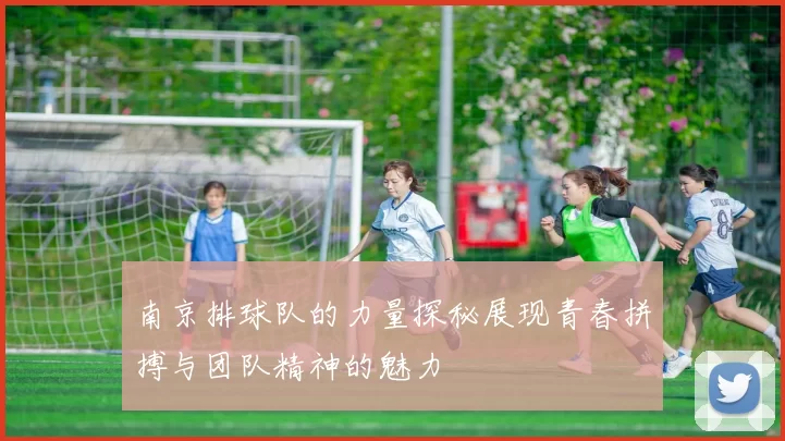 南京排球队的力量探秘展现青春拼搏与团队精神的魅力
